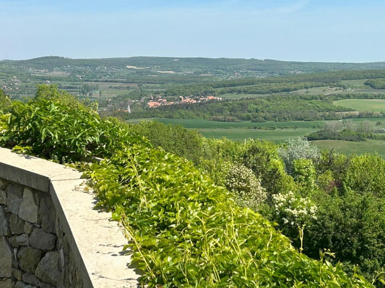 Borbora Borhaz Villa Vaszoly Екстер'єр фото