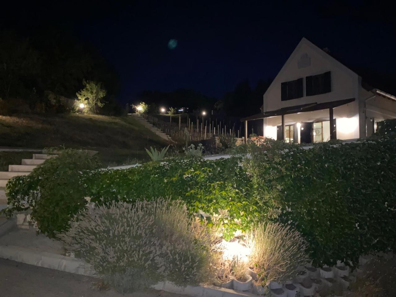 Borbora Borhaz Villa Vaszoly Екстер'єр фото